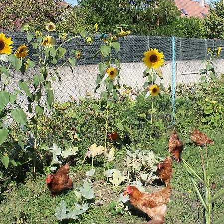 Apartment Les Miglou - Maison Picarde Entre Paris Et La Champagne ! Nogentel